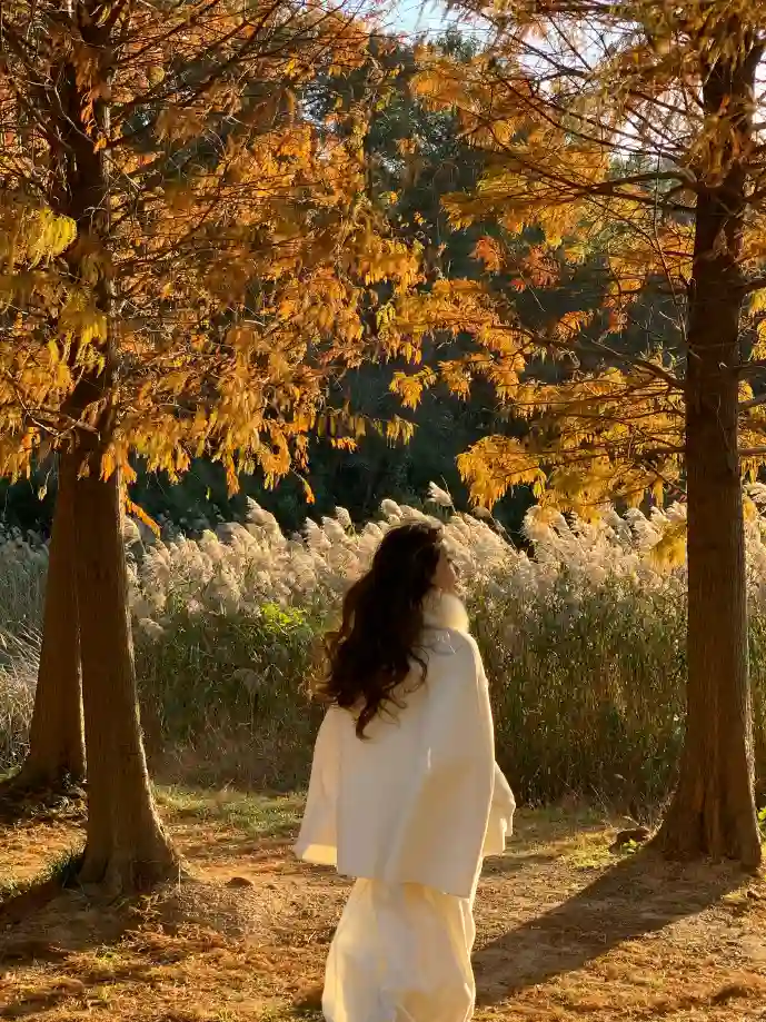 秒懂百科知识图谱可视化